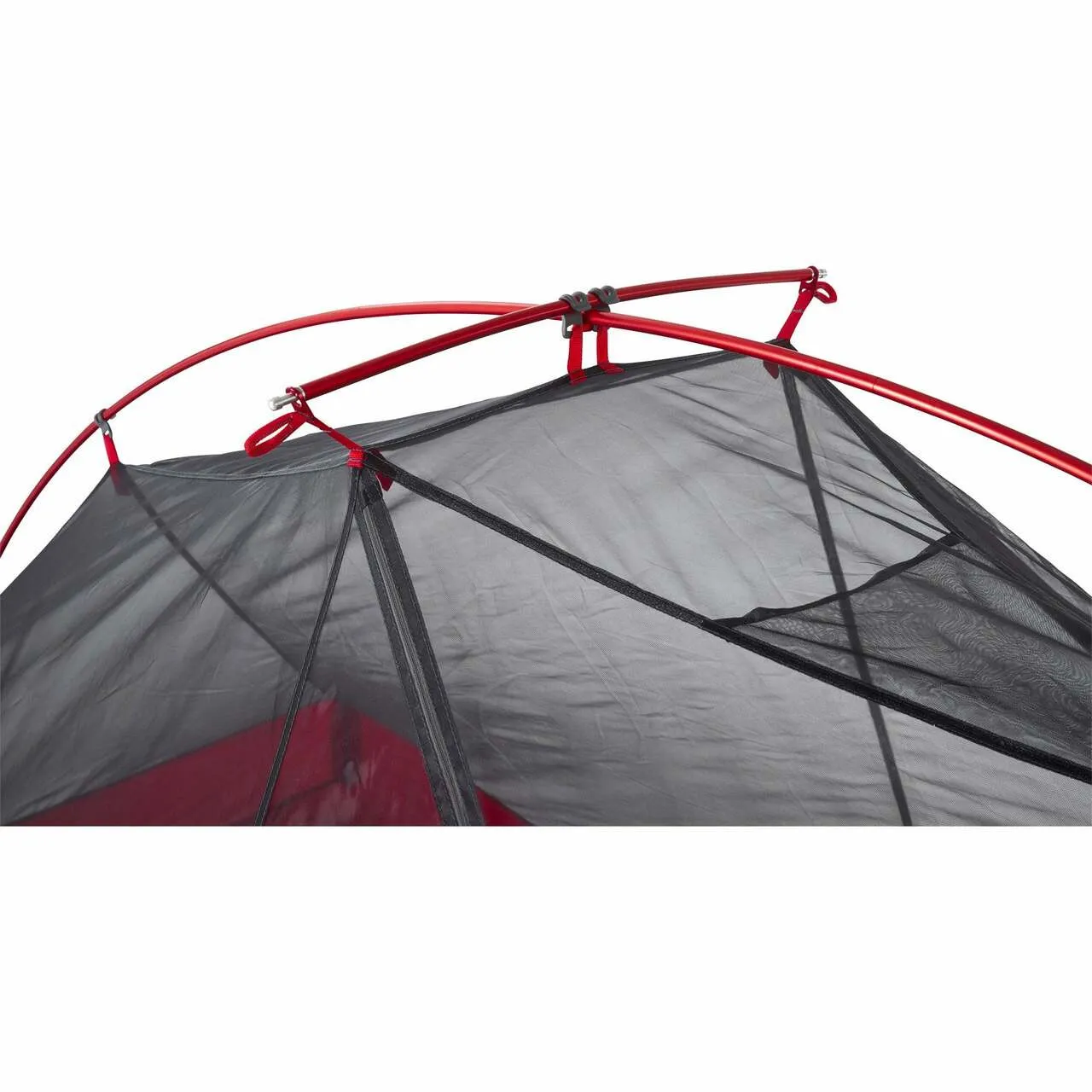 FreeLite 3 Person Tent - Green