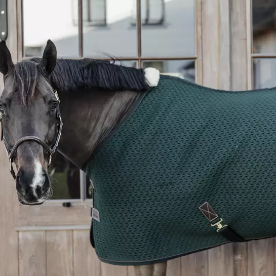 Kentucky Horsewear 4D Spacer Cooler Sheet - Pine Green