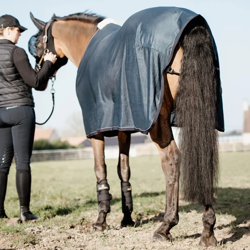 Kentucky Mesh Standard Neck Fly Sheet Rug - Navy