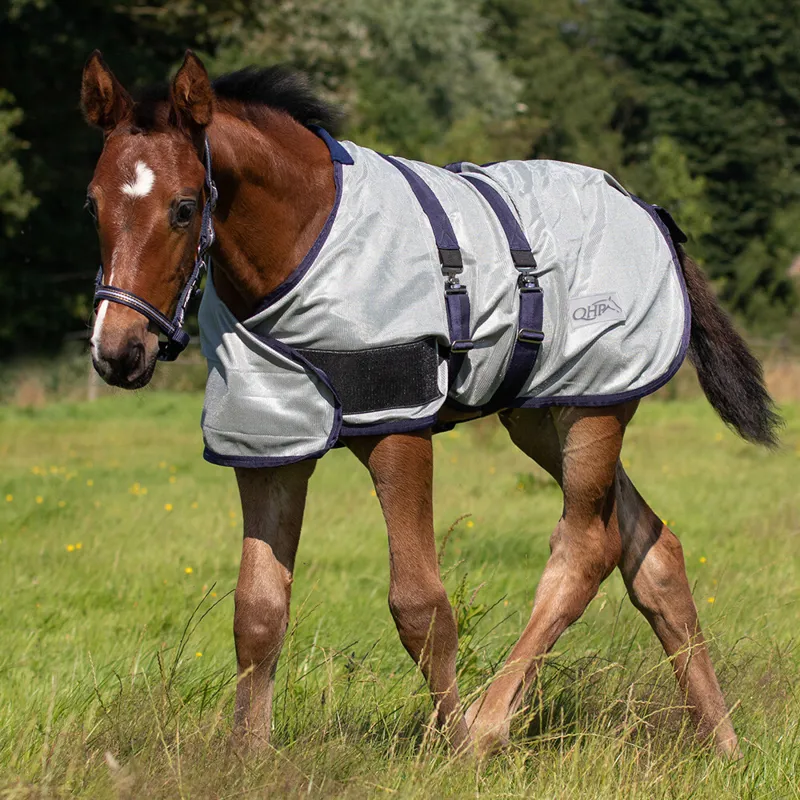 QHP Foal Standard Neck Adjustable Mesh Fly Sheet - Grey