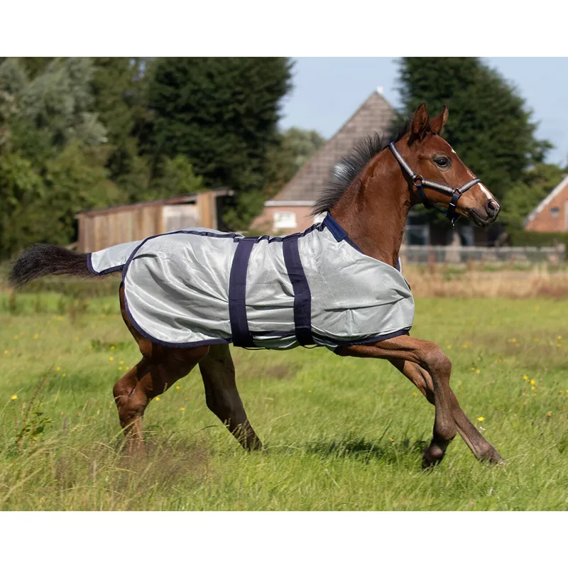 QHP Foal Standard Neck Adjustable Mesh Fly Sheet - Grey