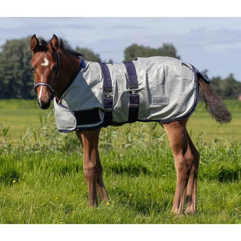 QHP Foal Standard Neck Adjustable Mesh Fly Sheet - Grey