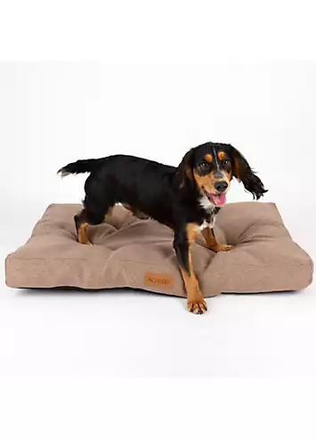 Scruffs Seattle Dog Mattress - Brown | Kaleidoscope