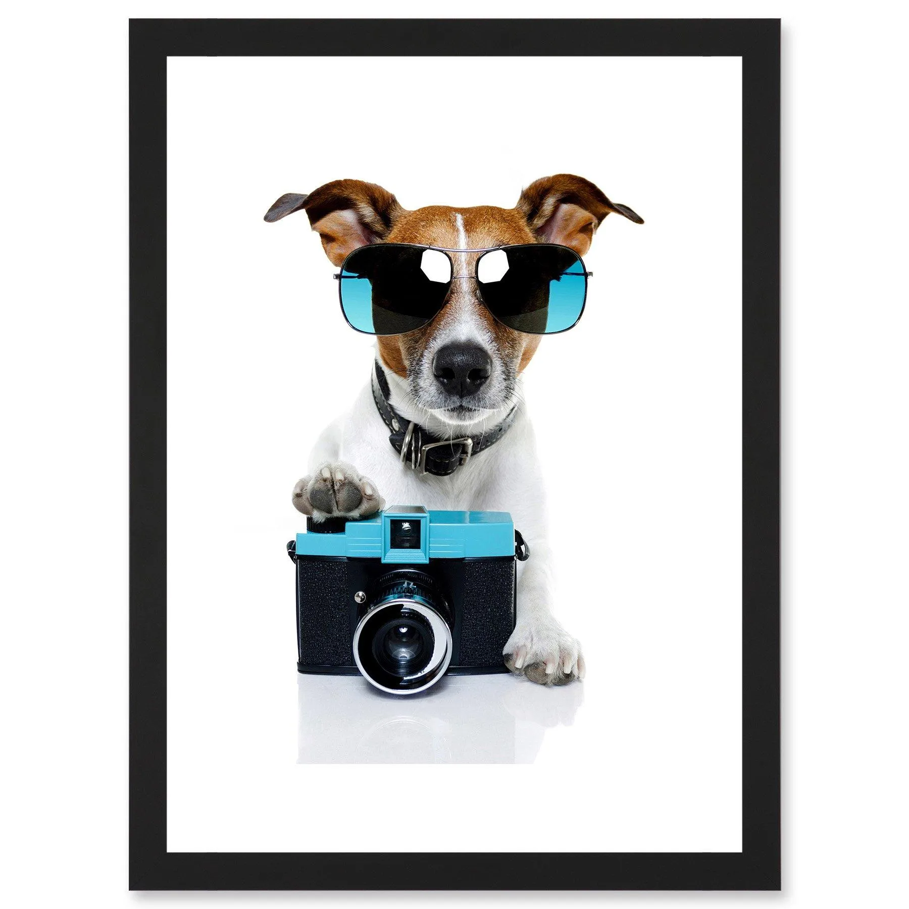 Wall Art & Pictures | Funny Photo Jack Russell Dog Shades Camera Artwork Framed Wall Art Print A4 | Artery8